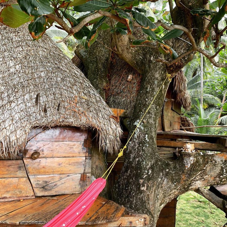 Ensuenos Natural Reserve Little Corn Island Nicaragua Exterior foto