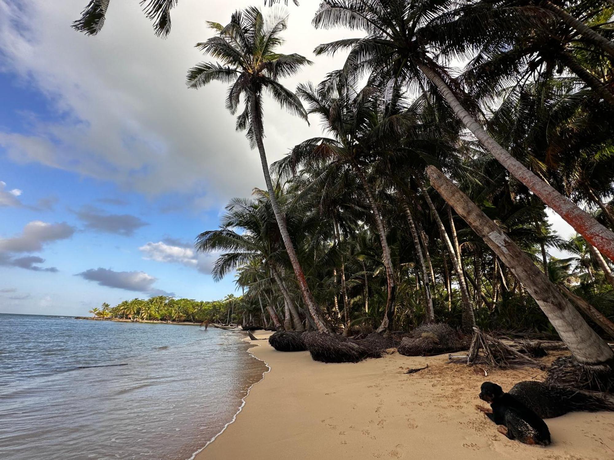 Ensuenos Natural Reserve Little Corn Island Nicaragua Exterior foto